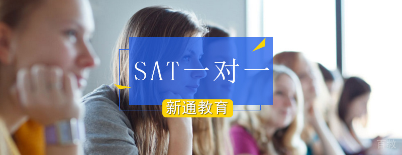 SAT一对一教学场景