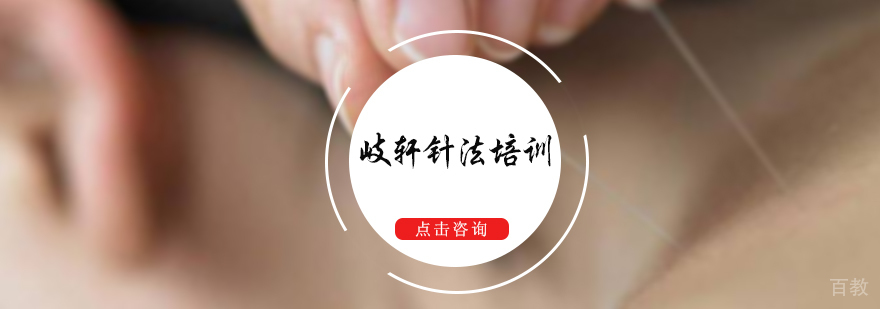 岐轩针法培训
