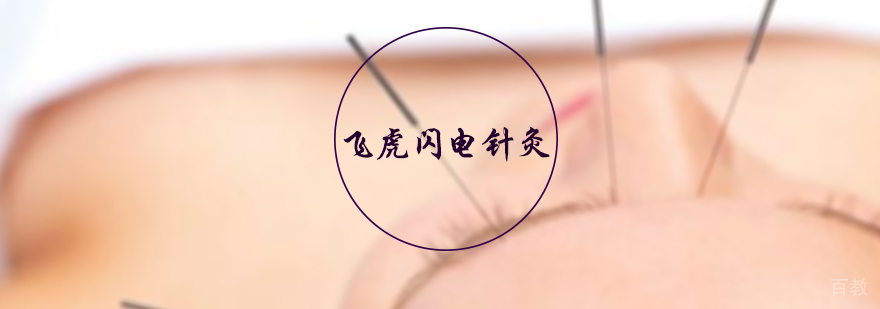 飞虎闪电针灸培训