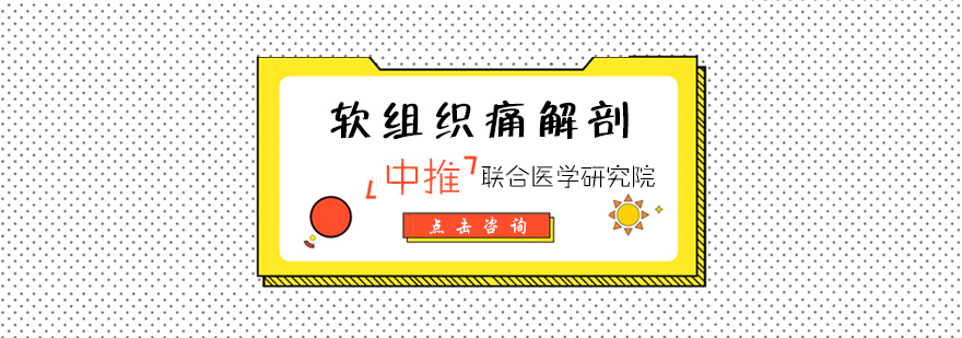软组织痛解剖培训