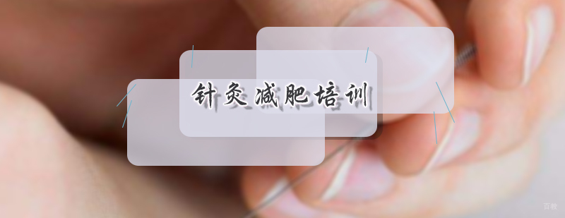 阴阳针灸减肥培训