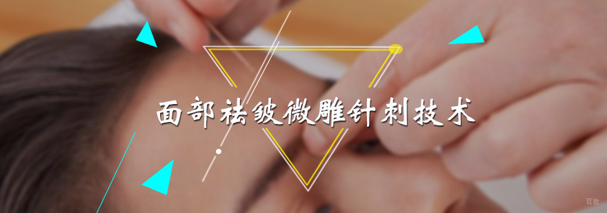 面部祛皱微雕针刺技术培训