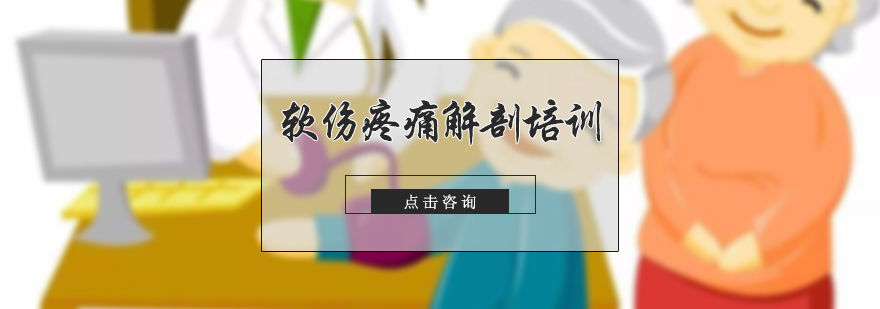 软伤疼痛解剖培训