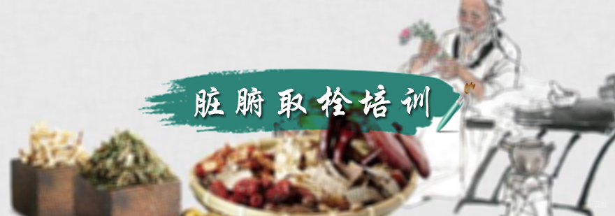 脏腑取栓培训