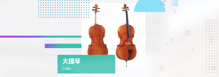 美国大提琴专业留学