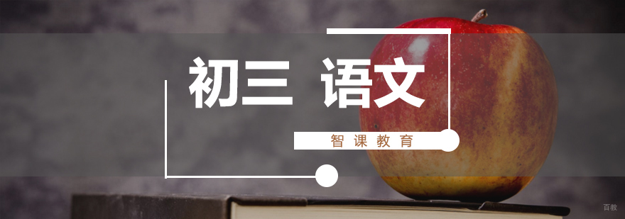 济南初中语文专业辅导