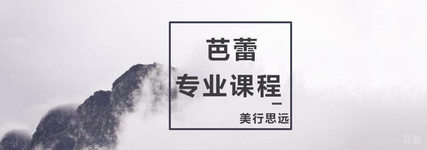 芭蕾专业培训