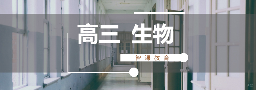 济南高三生物专题课程安排