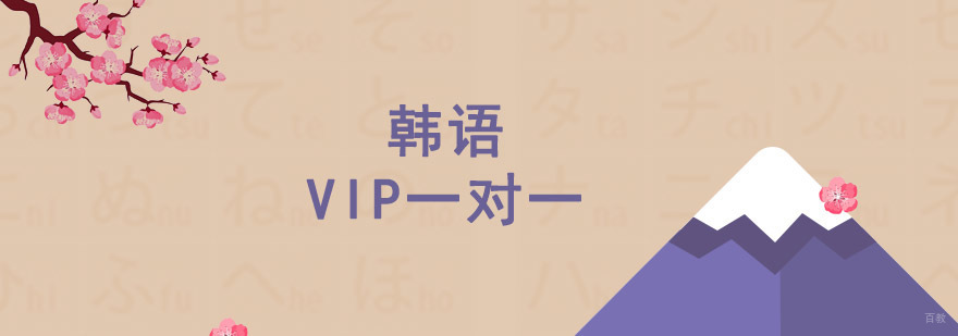 成都韩语一对一培训,成都韩语一对一培训班,韩语培训中心