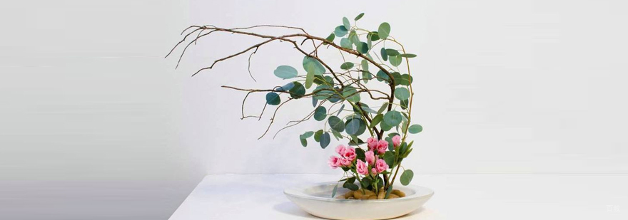 上海插花师培训