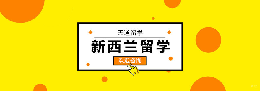 新西兰留学服务流程图