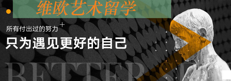 石家庄维欧国际教育
