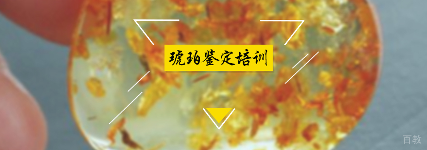 琥珀鉴定培训