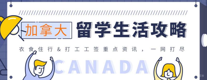新通教育简介