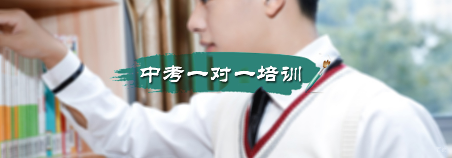 中考一对一培训