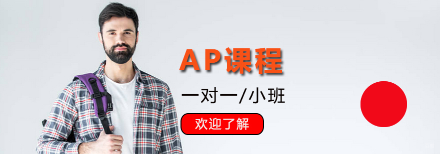 上海美高AP课程辅导