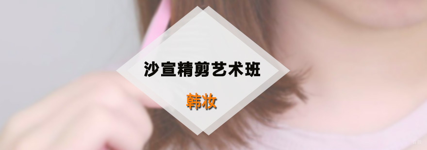沙宣精剪艺术班