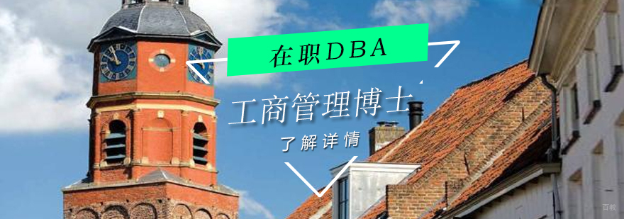 荷兰商学院DBA课程体系