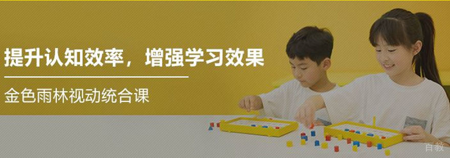 成都儿童视觉动作统合课程
