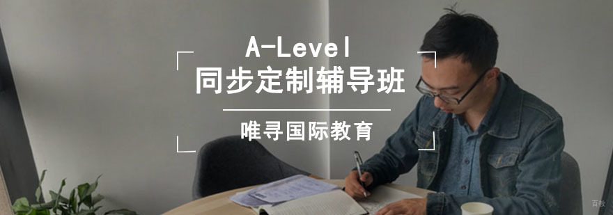成都A-Level同步定制辅导班