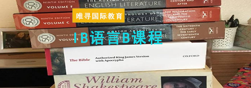 成都IB语言B课程培训