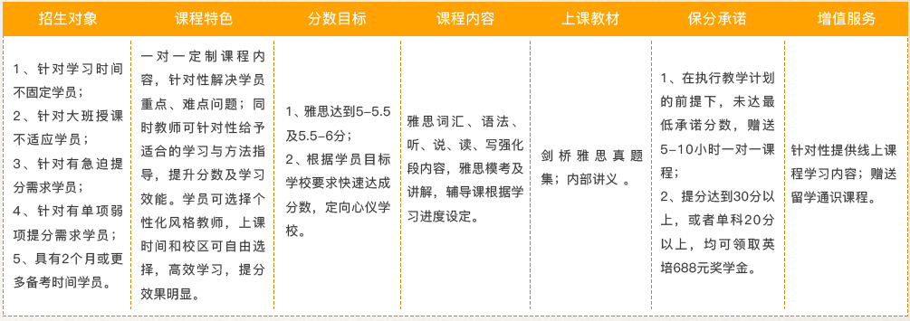 雅思VIP课程"