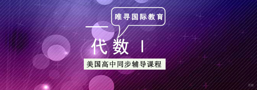 成都美高「代数Ⅰ」同步辅导课程
