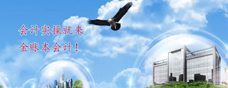 金账本会计教育