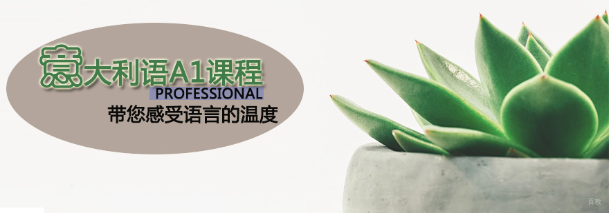 天津意大利语A1课程