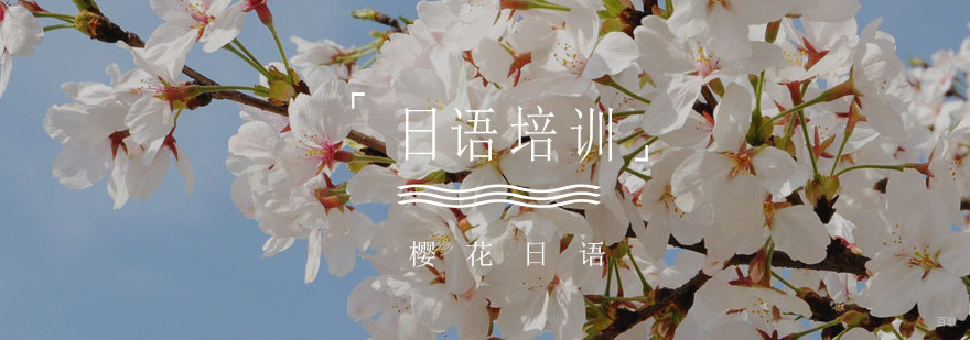 济南樱花日语课程体系