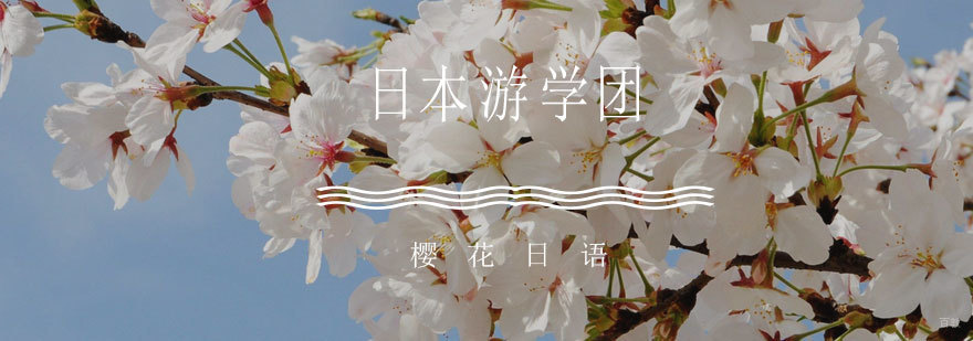 济南日本游学项目实景