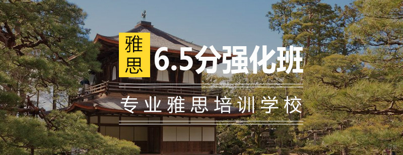 雅思6.5分一对一辅导班