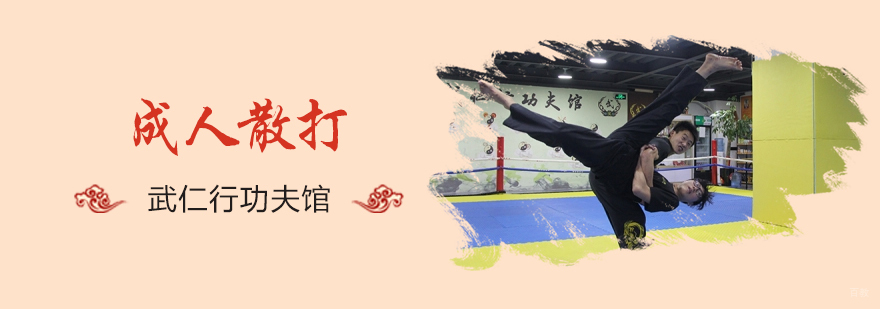 成人散打实战训练