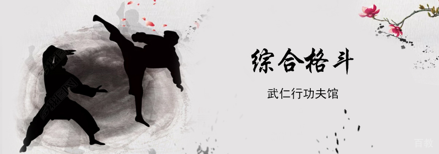 上海综合格斗培训班