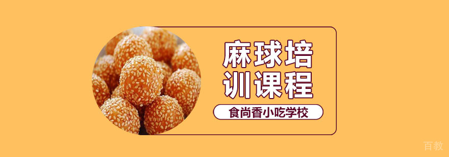 麻球培训班
