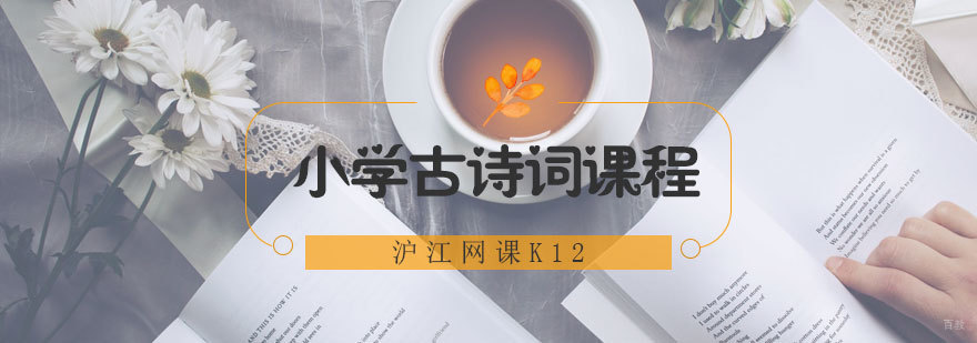 青岛小学古诗词专项课程