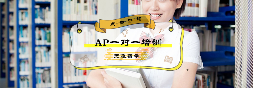 AP一对一培训