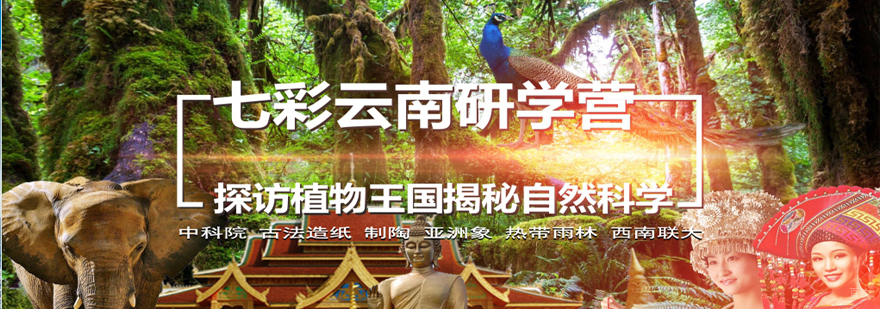 沈阳研学游学夏令营云南文化探索