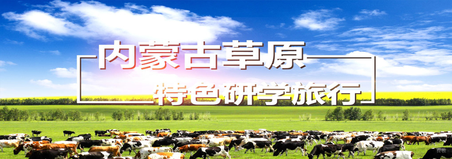 草原研学实践活动