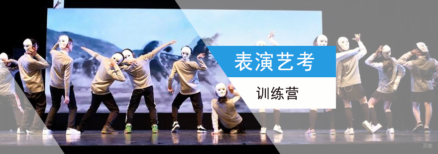 表演艺考专业指导