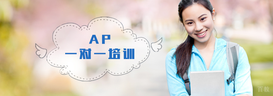 AP一对一培训