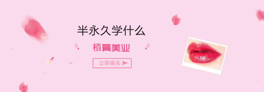 半永久技术学习体系