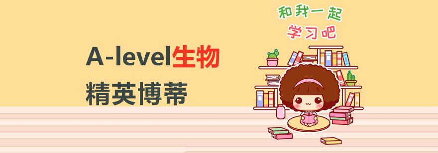 alevel培训
