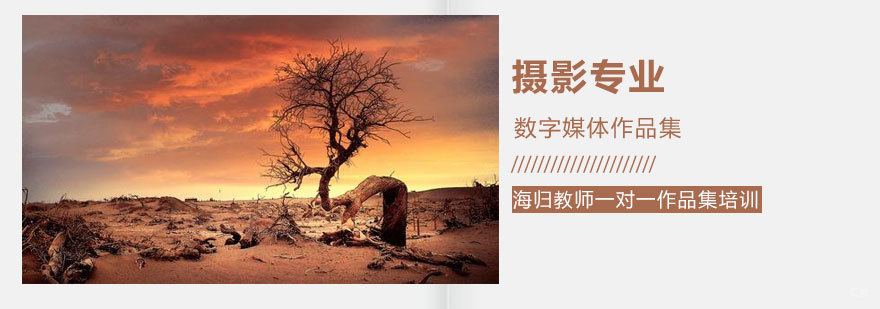 青岛摄影作品集指导 国际艺术院校申请