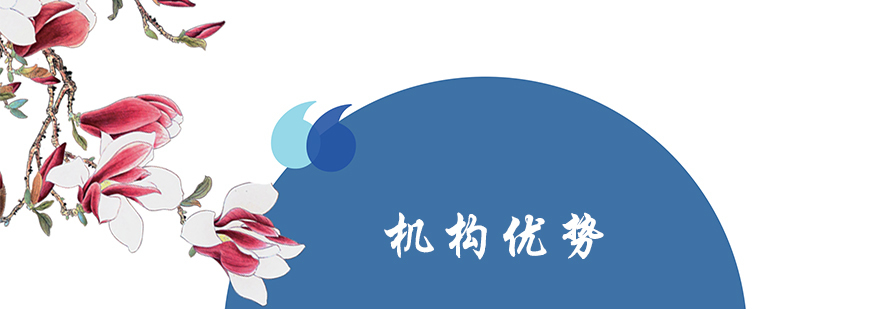 上海日韩道优势