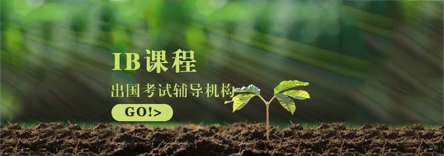 济南IB课程体系
