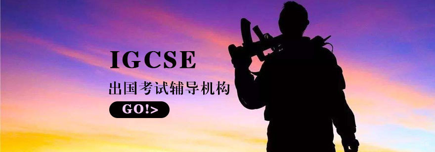 济南IGCSE课程实景教学