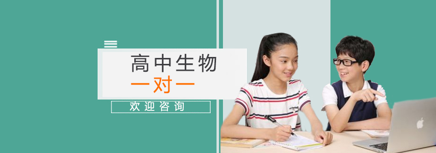 高中生物一对一辅导课程