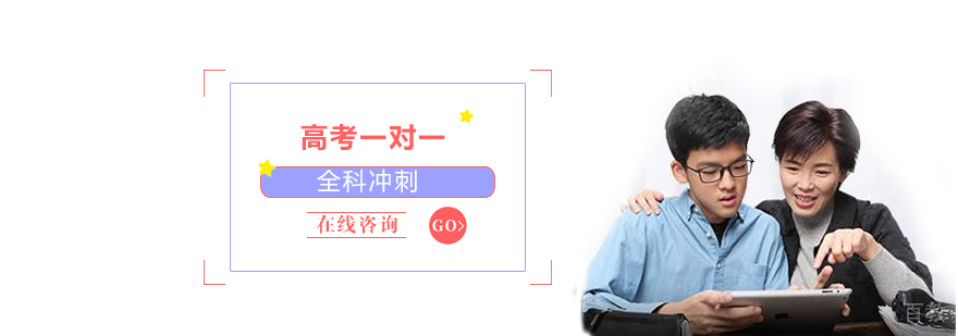 高考一对一辅导课程