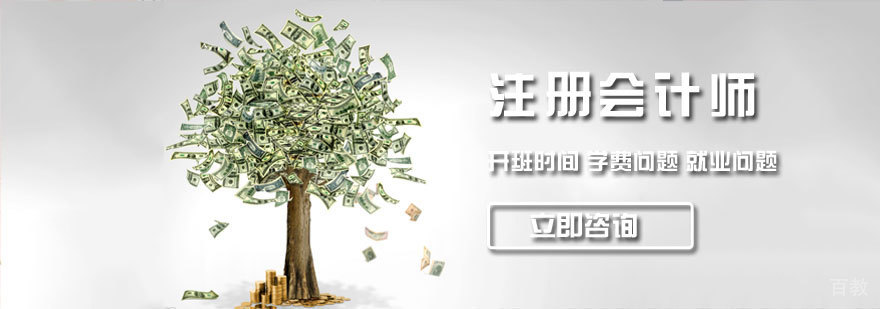 济南注册会计师培训机构,济南注册会计师培训机构费用,注册会计师网络培训